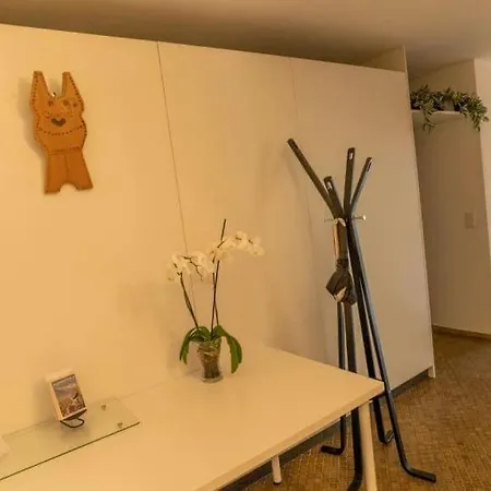 House Loetschberg 아파트 *